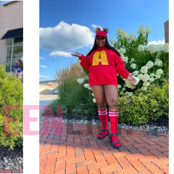 Alvin Chipmunk Handmade Halloween Costume Adult - Picture 2 of 5